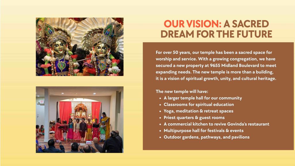 1 page brochure (website) vision